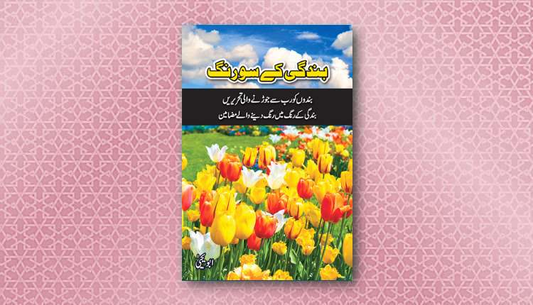 bandagi kay sau rang abu yahya inzaar urdu novel download free pdf hindi inzar