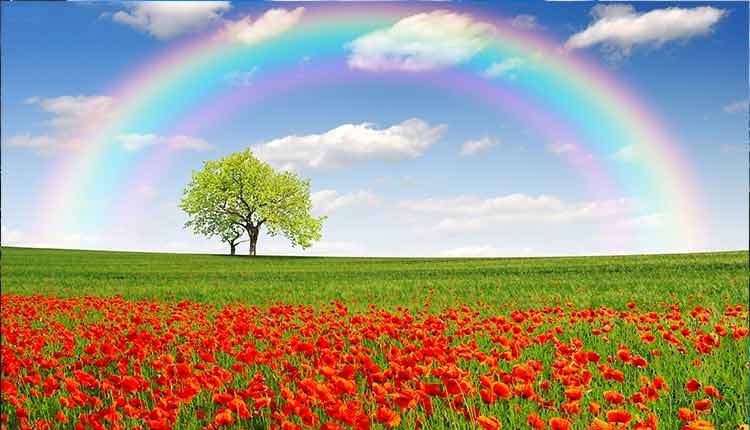 happy ending shumaila usman inzaar